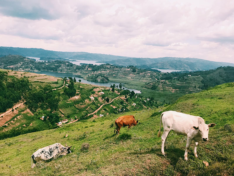 image of Uganda