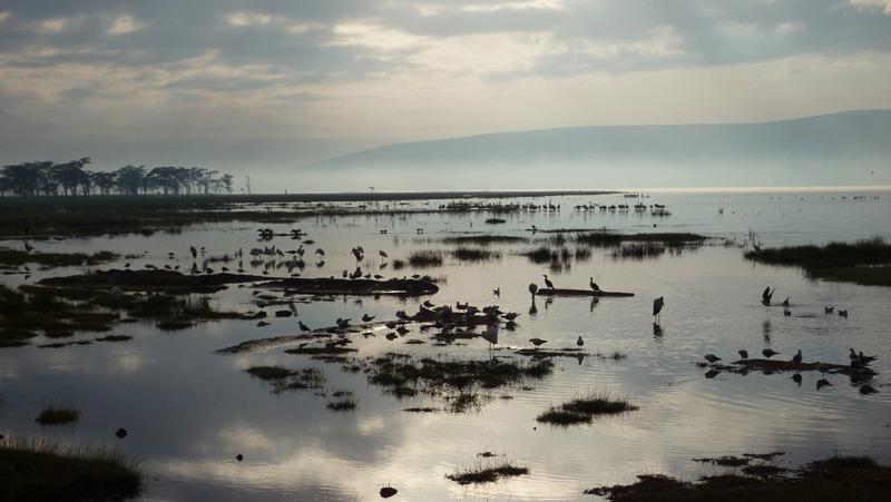 Image of Lake Nakuru, Kenya