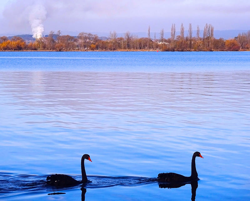 Image of Canberra, Australia