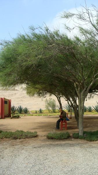 image of Trujillo, Peru