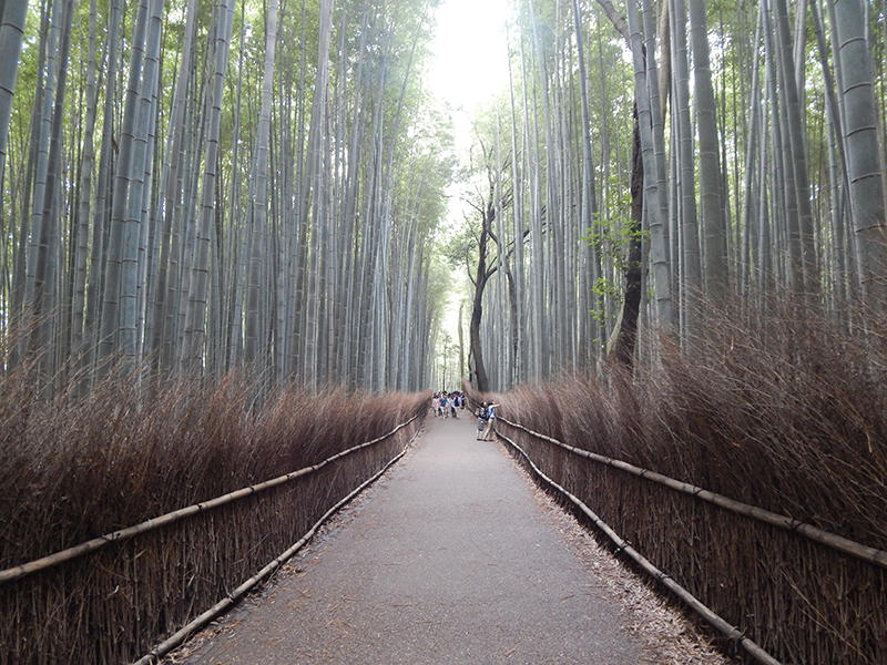 Image of Kyoto, Japan