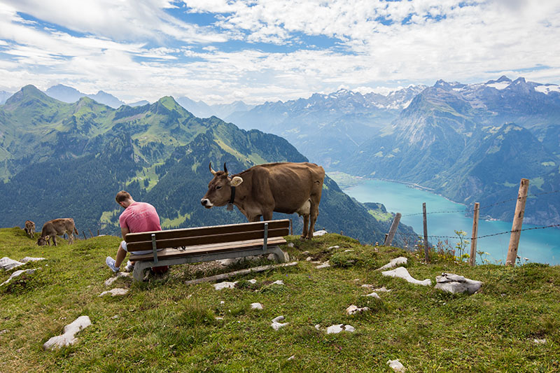 image of Switzerland