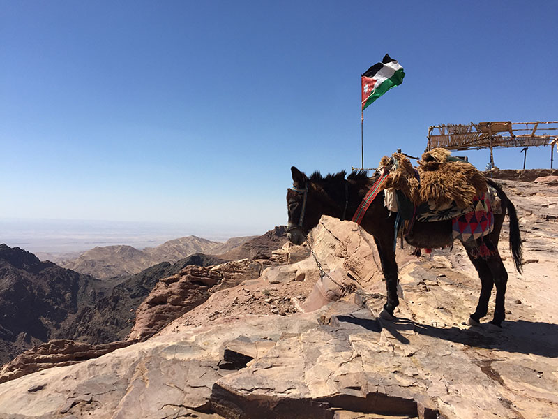 image of Jordan