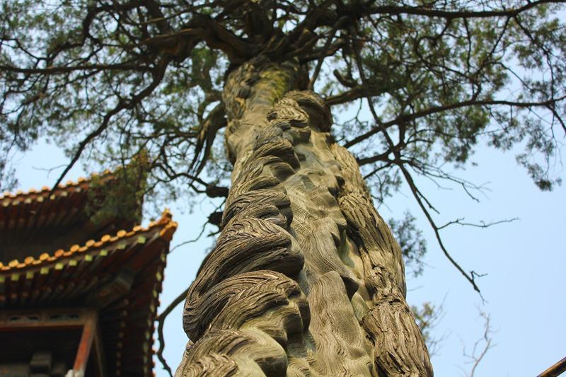Image of Qufu, China