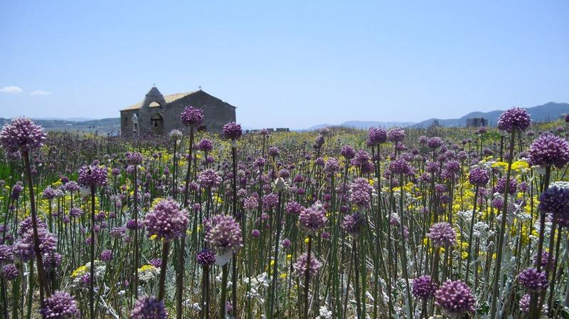 image of Methoni, Greece