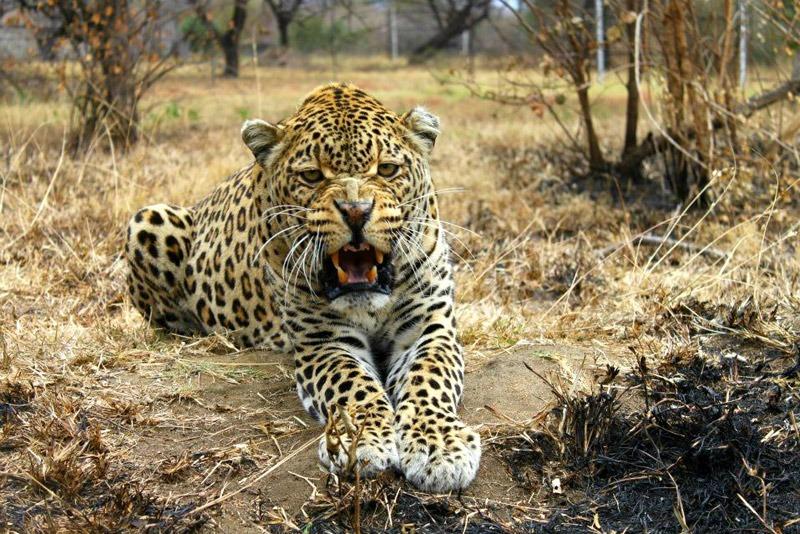 Image of Acornhoek, South Africa
