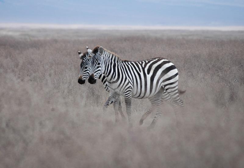 image of Ngorongoro Crater, Tanzania