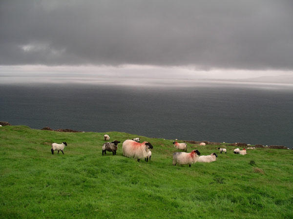 image of Dingle Peninsula, Ireland