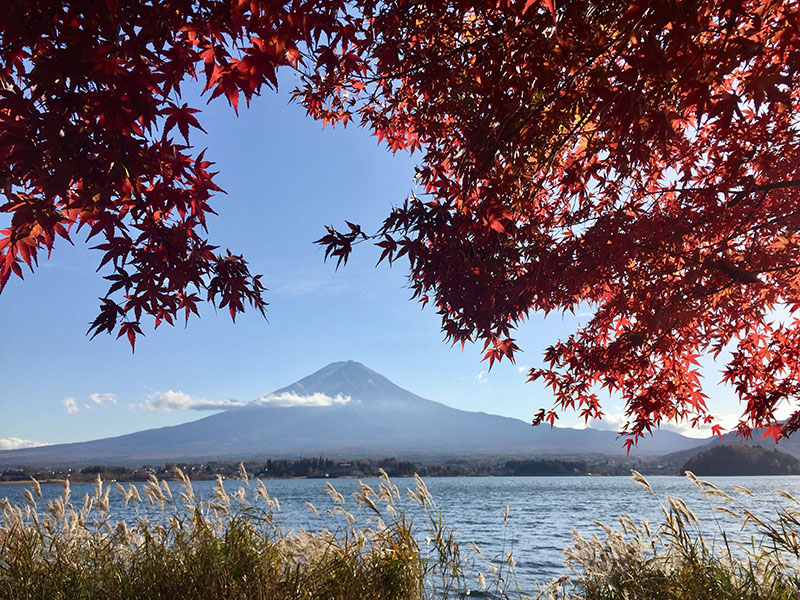 image of Japan