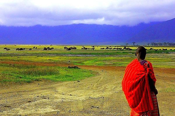 image of Ngorongoro Crater, Northern Tanzania