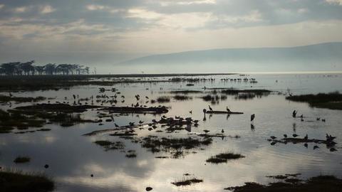 Image of Lake Nakuru, Kenya