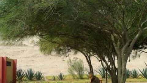 image of Trujillo, Peru