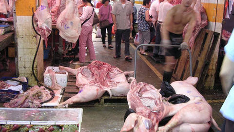 image of Hong Kong