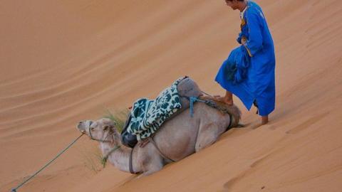 image of The Sahara, Morocco