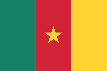 Cameroonian flag